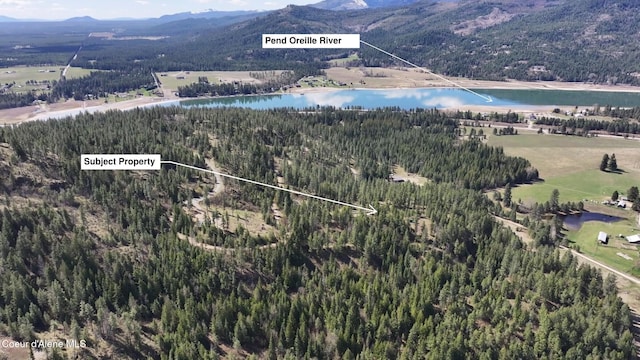 NNA Moose Mountain Rd, Priest River, ID 83856