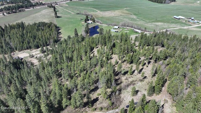 NNA Moose Mountain Rd, Priest River, ID 83856