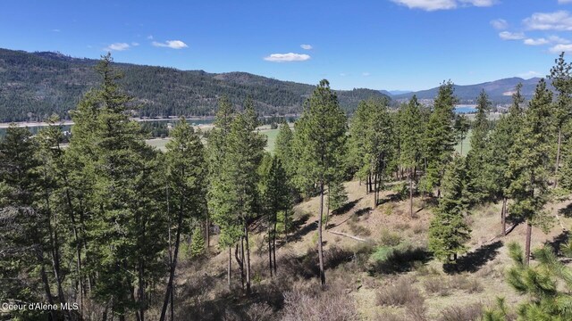 NNA Moose Mountain Rd, Priest River, ID 83856