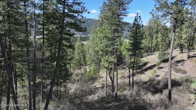 NNA Moose Mountain Rd, Priest River, ID 83856