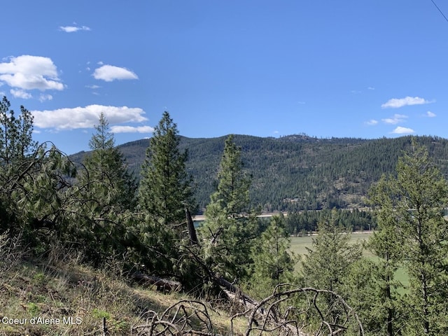 NNA Moose Mountain Rd, Priest River, ID 83856
