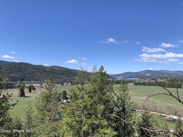 NNA Moose Mountain Rd, Priest River, ID 83856