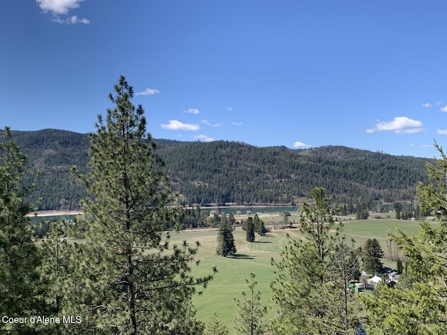 NNA Moose Mountain Rd, Priest River, ID 83856