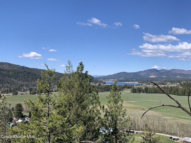 NNA Moose Mountain Rd, Priest River, ID 83856