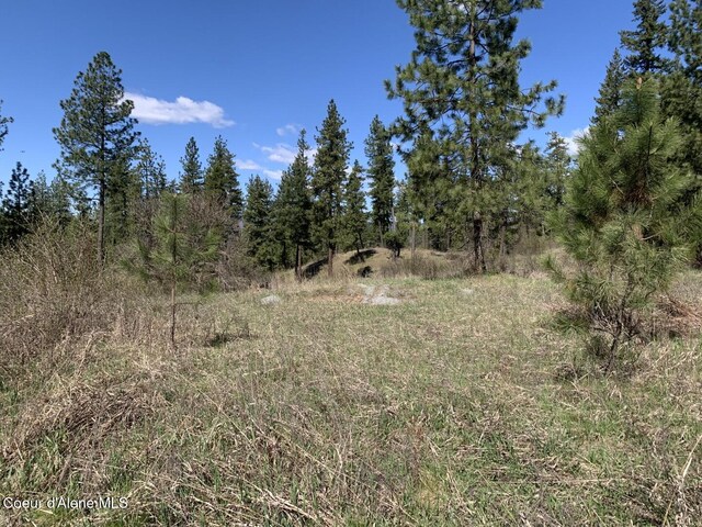 NNA Moose Mountain Rd, Priest River, ID 83856