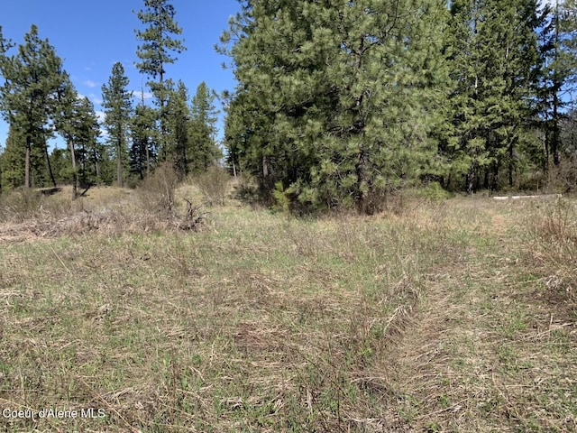NNA Moose Mountain Rd, Priest River, ID 83856