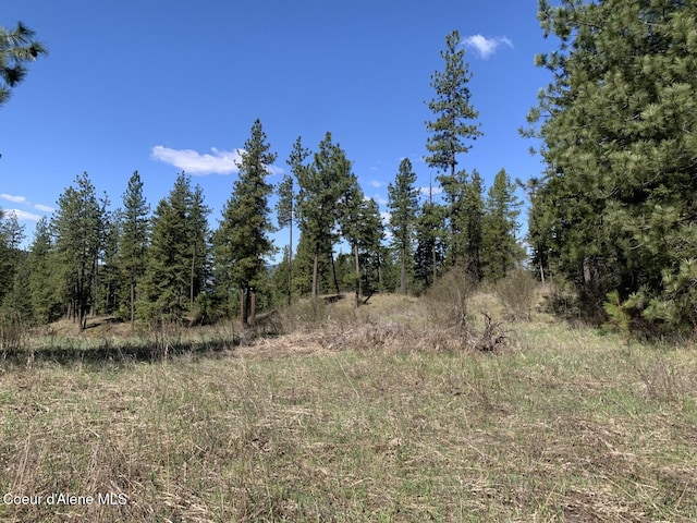 NNA Moose Mountain Rd, Priest River, ID 83856