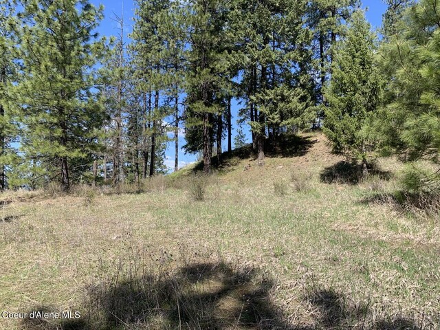 NNA Moose Mountain Rd, Priest River, ID 83856