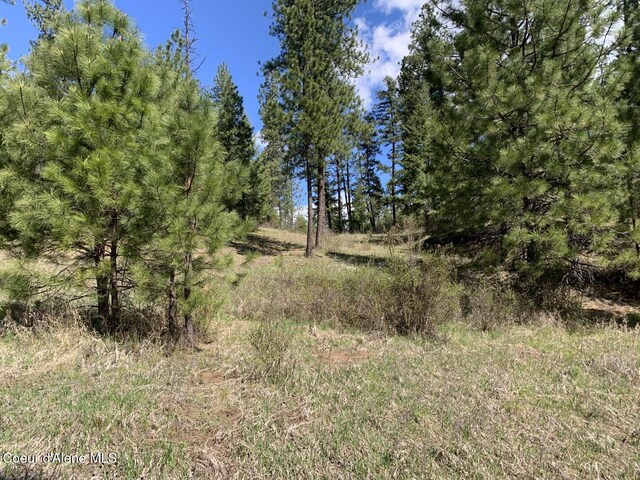 NNA Moose Mountain Rd, Priest River, ID 83856