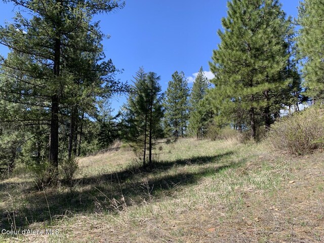 NNA Moose Mountain Rd, Priest River, ID 83856
