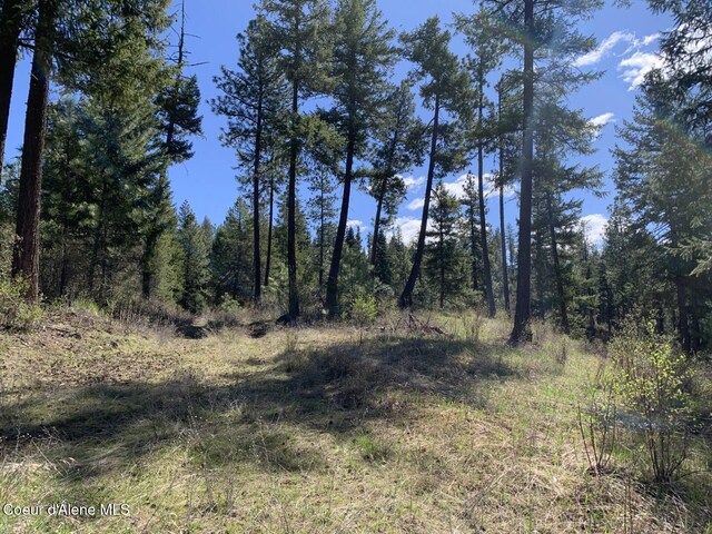 NNA Moose Mountain Rd, Priest River, ID 83856