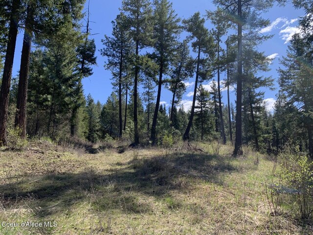 NNA Moose Mountain Rd, Priest River, ID 83856
