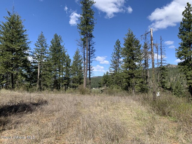 NNA Moose Mountain Rd, Priest River, ID 83856