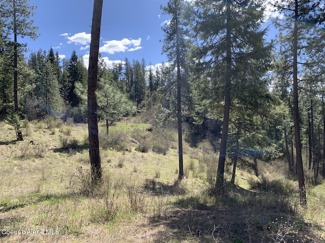 NNA Moose Mountain Rd, Priest River, ID 83856