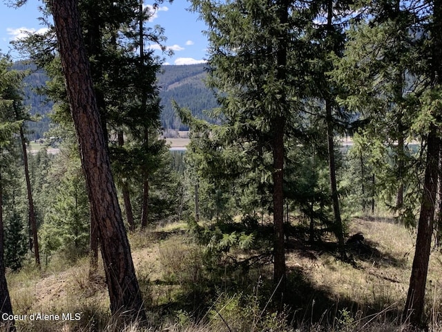 NNA Moose Mountain Rd, Priest River, ID 83856