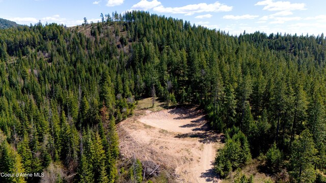 LOT10 Lone Moose Dr, Plummer, ID 83851