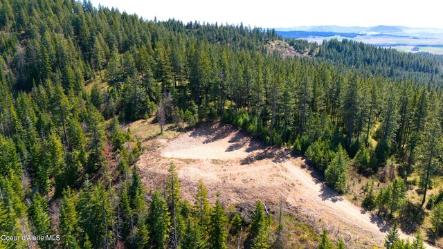 LOT10 Lone Moose Dr, Plummer, ID 83851