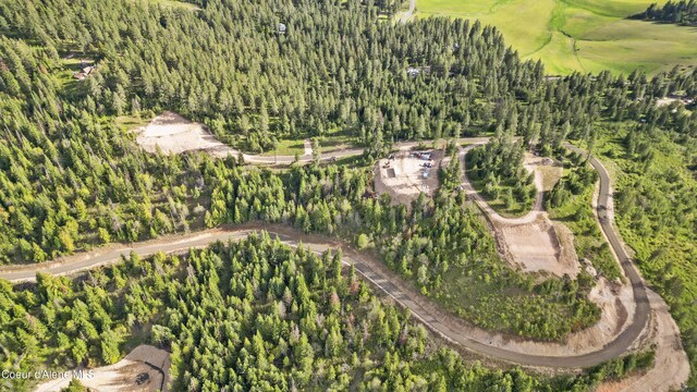 LOT10 Lone Moose Dr, Plummer, ID 83851