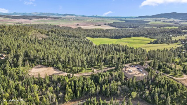 LOT10 Lone Moose Dr, Plummer, ID 83851