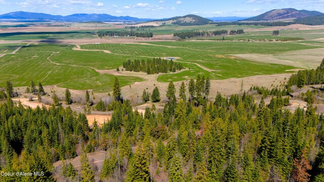 LOT10 Lone Moose Dr, Plummer, ID 83851