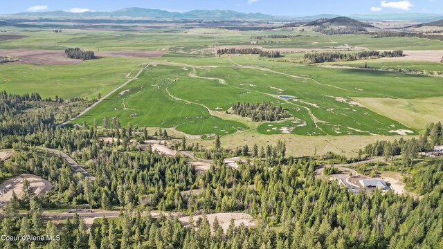 LOT10 Lone Moose Dr, Plummer, ID 83851