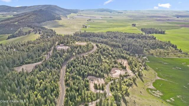 LOT10 Lone Moose Dr, Plummer, ID 83851