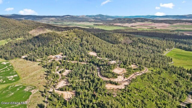 LOT10 Lone Moose Dr, Plummer, ID 83851