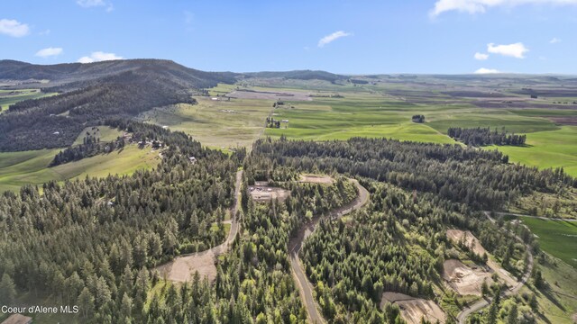 LOT10 Lone Moose Dr, Plummer, ID 83851