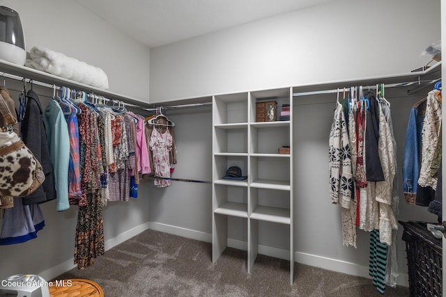 5867 W Sparrowhawk Dr, Rathdrum, ID 83858 - spacious closet featuring carpet flooring