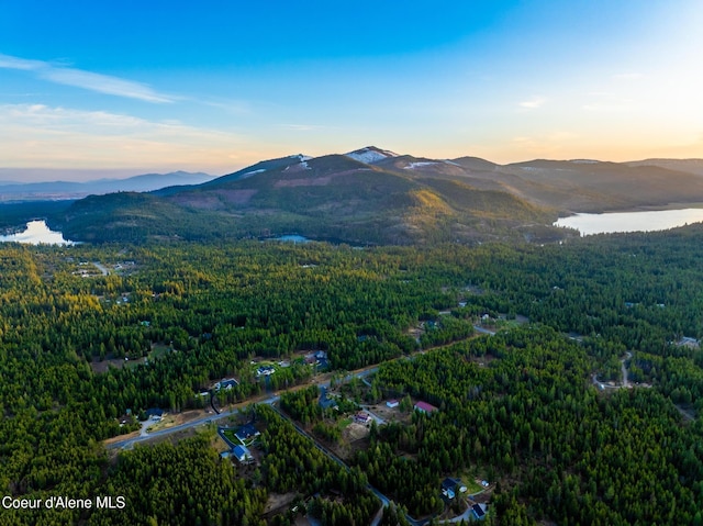 5867 W Sparrowhawk Dr, Rathdrum, ID 83858 - bird's eye view with a mountain view and a view of trees