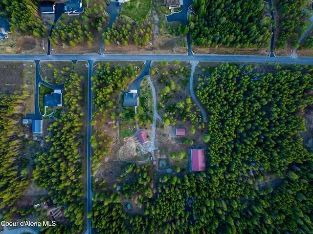 5867 W Sparrowhawk Dr, Rathdrum, ID 83858 - aerial view