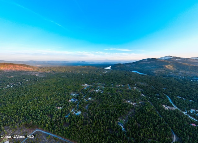 5867 W Sparrowhawk Dr, Rathdrum, ID 83858 - bird's eye view with a mountain view and a view of trees