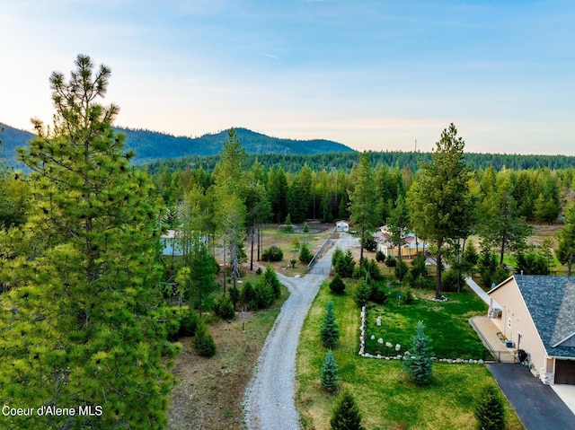 5867 W Sparrowhawk Dr, Rathdrum, ID 83858 - exterior space with a view of trees and a mountain view