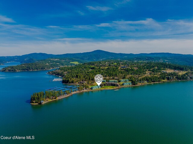 4549 S Arrow Point Dr # 207, Harrison, ID 83833 - aerial view with a forest view and a water and mountain view