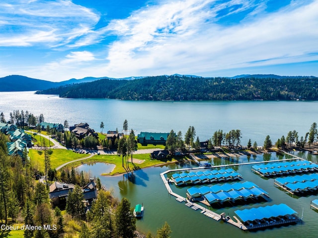 4549 S Arrow Point Dr # 207, Harrison, ID 83833 - drone / aerial view with a water and mountain view