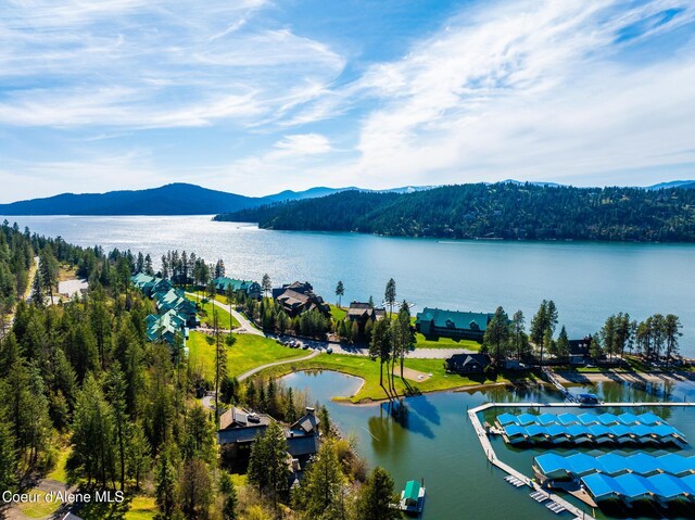 4549 S Arrow Point Dr # 207, Harrison, ID 83833 - drone / aerial view featuring a water and mountain view