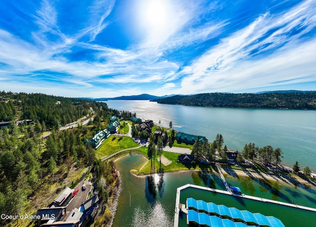 4549 S Arrow Point Dr # 207, Harrison, ID 83833 - bird's eye view featuring a water and mountain view and a forest view