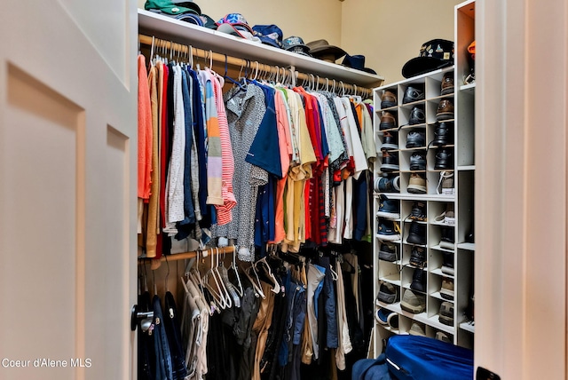 view of walk in closet