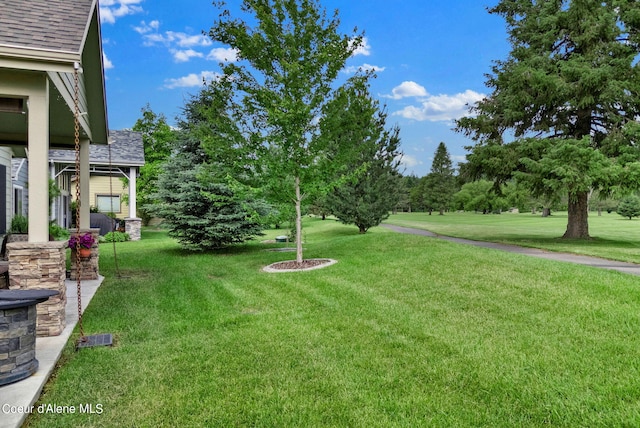 view of yard