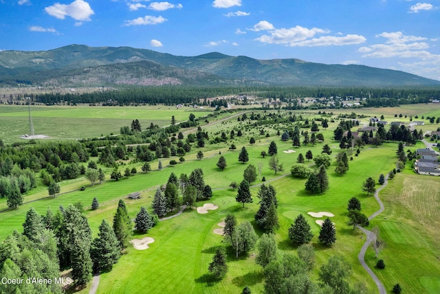 birds eye view of property with a mountain view