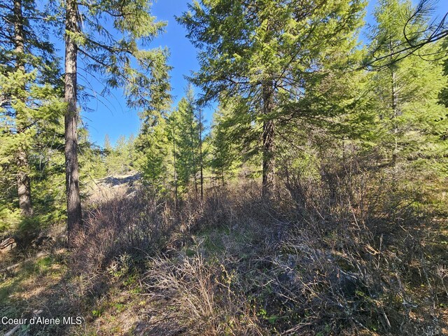 NNA N Sunset Hill Rd, Athol, ID 83801
