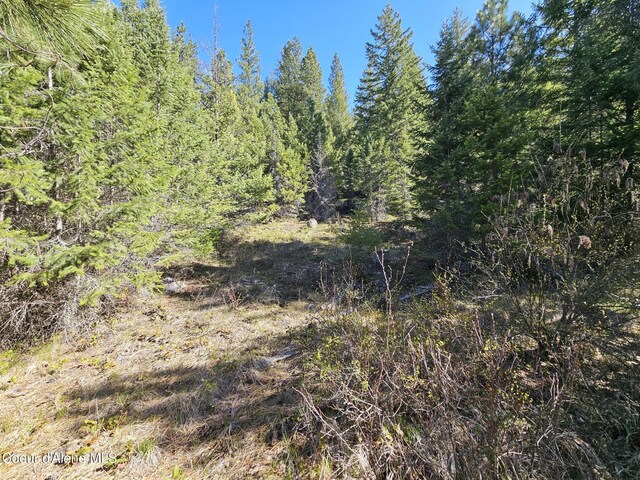 NNA N Sunset Hill Rd, Athol, ID 83801