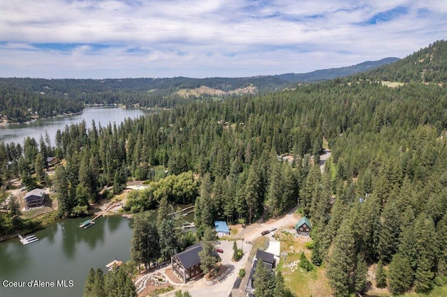 14314 N Waters Edge Ct, Hayden, ID 83835 - aerial overview of property's location with a water and mountain view