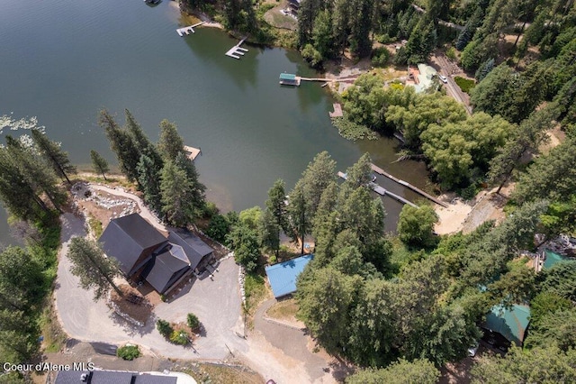 14314 N Waters Edge Ct, Hayden, ID 83835 - aerial overview of property's location with a large body of water