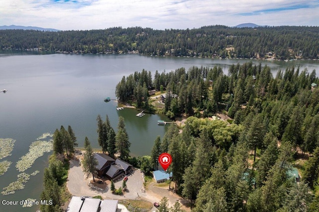 14314 N Waters Edge Ct, Hayden, ID 83835 - view of property location with a forest and a large body of water