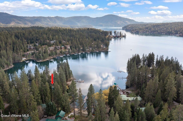 14314 N Waters Edge Ct, Hayden, ID 83835 - water view with a forest and a mountain backdrop