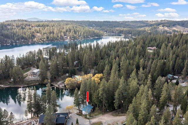 14314 N Waters Edge Ct, Hayden, ID 83835 - aerial view of property and surrounding area with a large body of water