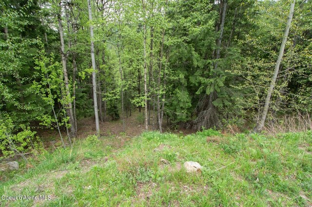 2884 Morris Rd, Naples, ID 83847 - view of local wilderness featuring a wooded view