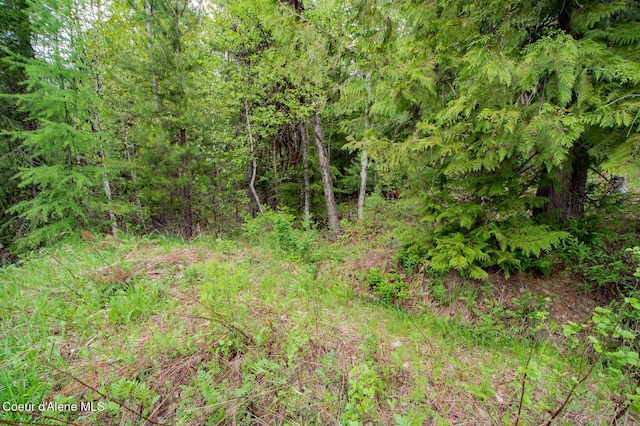 2884 Morris Rd, Naples, ID 83847 - view of nature