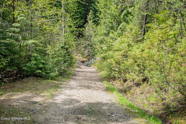 2884 Morris Rd, Naples, ID 83847 - view of street featuring a forest view